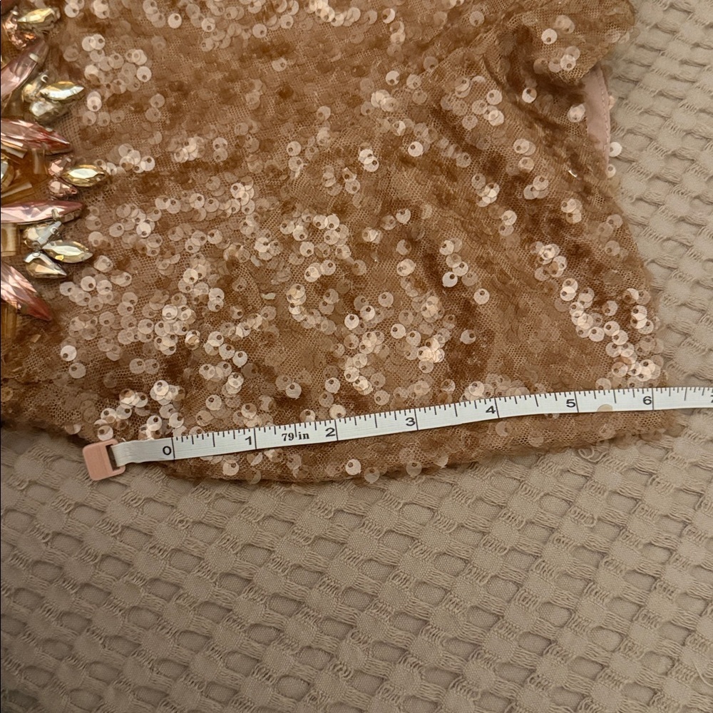 NWT | Sachin + Babi Honey Shiloh Sequin Gown Size 8 - Picture 17 of 17